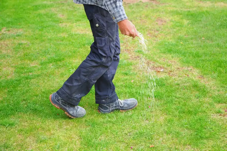 Lawn Care Services