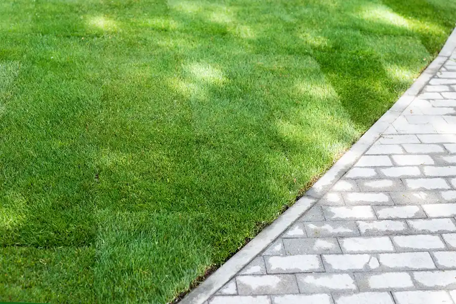 McRae's Yard Maintenance's other services