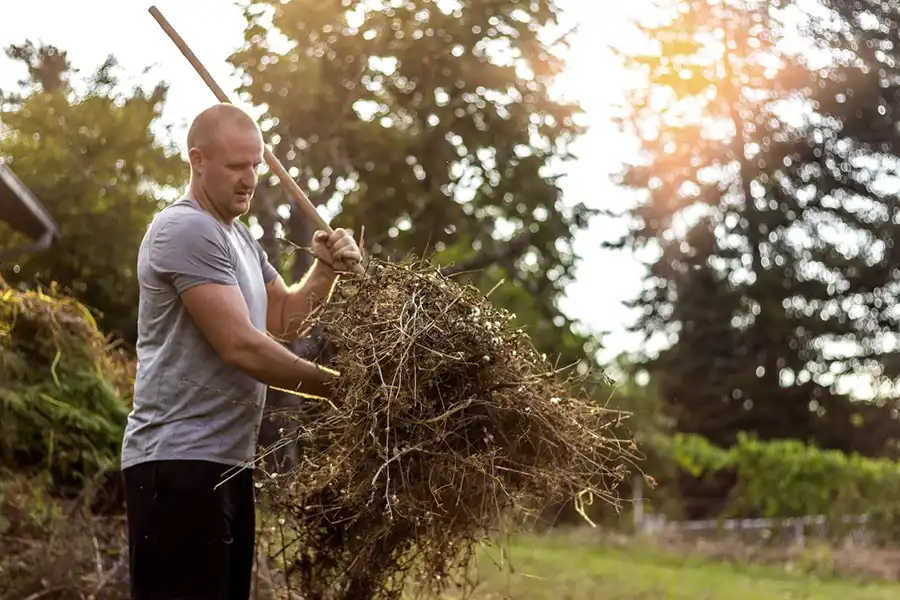 Yard Maintenance