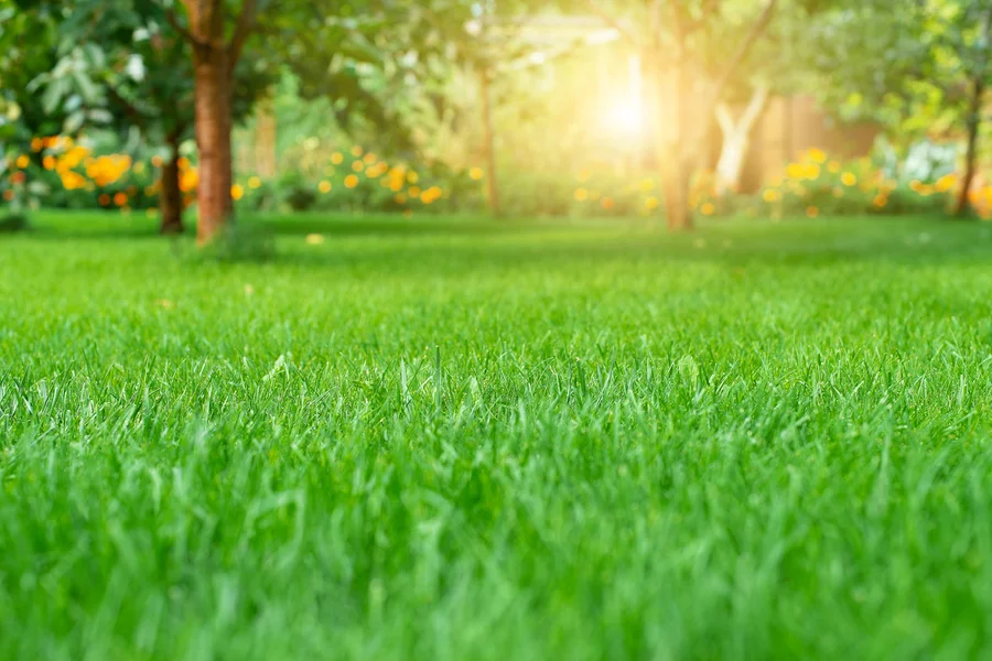 How Lawn Care Services Enhance Your Homes Curb Appeal West End, NC How Lawn Care Services Enhance Your Homes Curb Appeal West End, NC