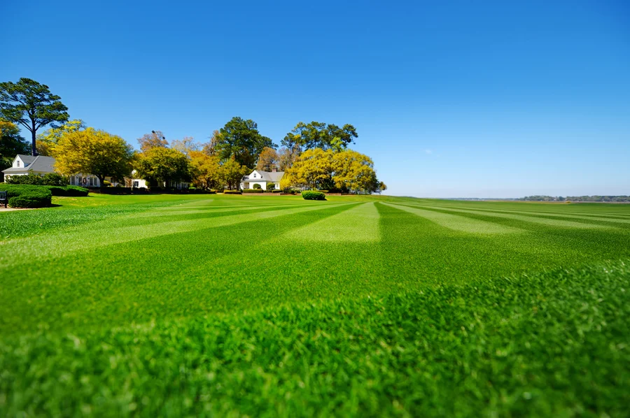 How Lawn Care Services Enhance Your Homes Curb Appeal in West End, NC How Lawn Care Services Enhance Your Homes Curb Appeal in West End, NC